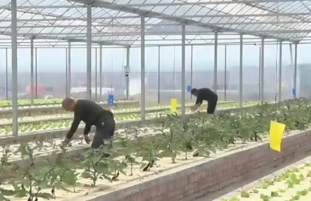 陜西：綠色智能亮點(diǎn)十足 科技賦能三秦沃野