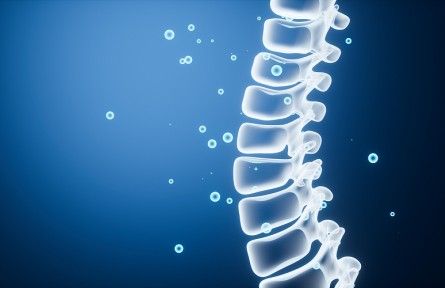 科技名詞|膠原酶溶解術(shù) collagenase dissolution