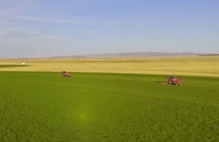 新疆吉木乃：6種牧草免耕混播 “種活”沙化草場(chǎng)