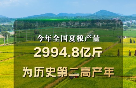 歷史第二高產(chǎn)年 今年全國(guó)夏糧產(chǎn)量2994.8億斤