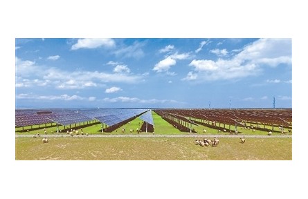 青海海南州：以“光伏+生態(tài)+農(nóng)牧業(yè)”治理荒漠化