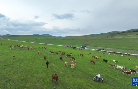 內(nèi)蒙古赤峰：阿魯科爾沁草原夏日景色