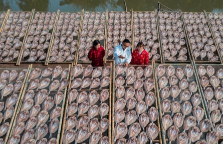 浙江溫嶺：“海味經(jīng)濟(jì)”闖出“靠海吃?！毙侣纷?></a></td>
<td align=