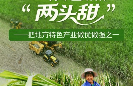 習(xí)近平總書記關(guān)切事|一根甘蔗“兩頭甜”——把地方特色產(chǎn)業(yè)做優(yōu)做強(qiáng)之一