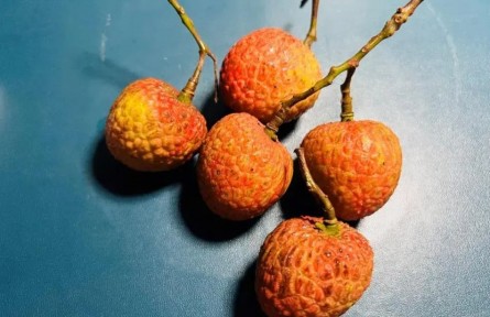 吃荔枝能降糖？千萬不要這么做！