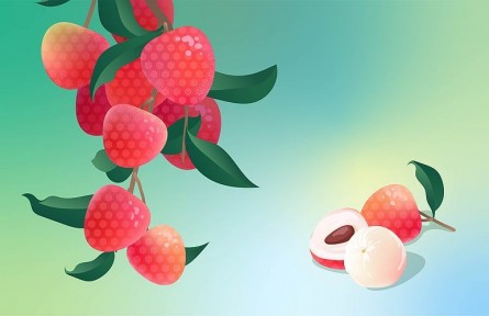 辟謠|荔枝果肉變白就不新鮮了嗎？