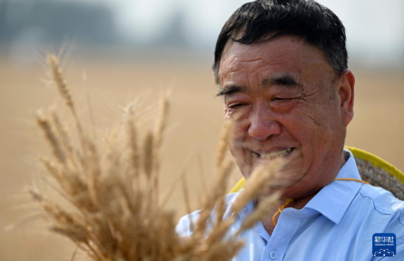 徐淙祥：楝樹下守望豐收