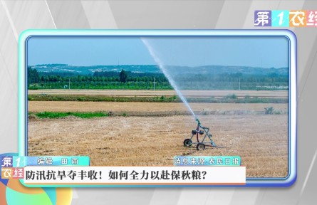 防汛抗旱奪豐收！如何全力以赴保秋糧？