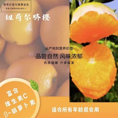 紐荷爾臍橙 (Newhall Navel Orange)