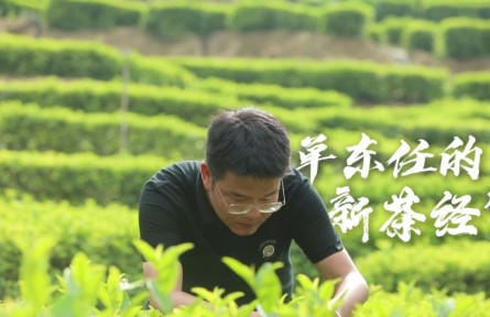“新農(nóng)人”單東任的“新茶經(jīng)”