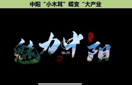 家鄉(xiāng)農產品大學生推薦官｜品牌短視頻④：中陽“小木耳”蝶變“大產業(yè)”