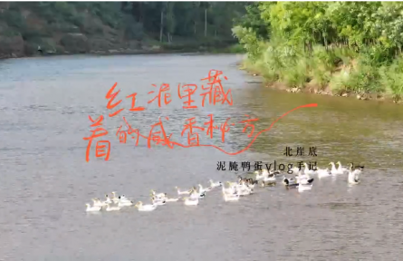 家鄉(xiāng)農產品大學生推薦官｜品牌短視頻⑤：紅泥里藏著的咸香秘方