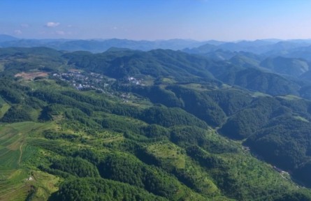 從“石頭村”到萬(wàn)畝林 貴州海雀村的綠色蝶變