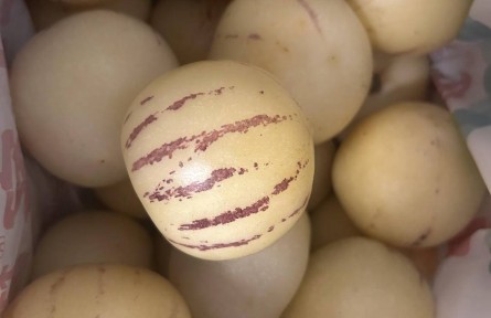 小麗逛菜場 | 人參果是蔬菜不是水果？小心！含糖量比大多數(shù)水果高