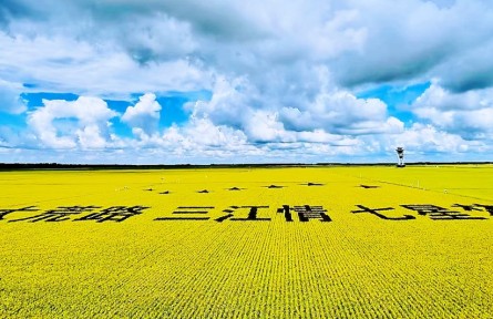 踏上黑土地，真正讀懂了“北大荒”