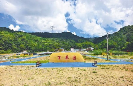 科技賦能林下經(jīng)濟 湖北巴東經(jīng)驗全國推廣