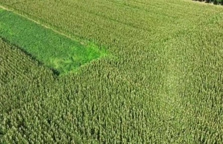 河北北斗＋農(nóng)業(yè)：精準(zhǔn)作業(yè) 賦能智慧農(nóng)業(yè)