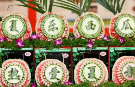 家鄉(xiāng)農(nóng)產(chǎn)品大學生推薦官 | 品牌手記?：夏縣西瓜：千年傳承的甜蜜產(chǎn)業(yè)