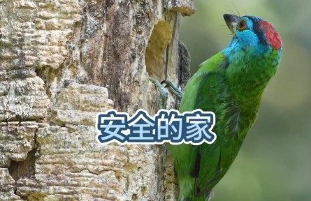 旅游寶藏地！帶你解鎖中國34個世界生物圈保護區(qū)