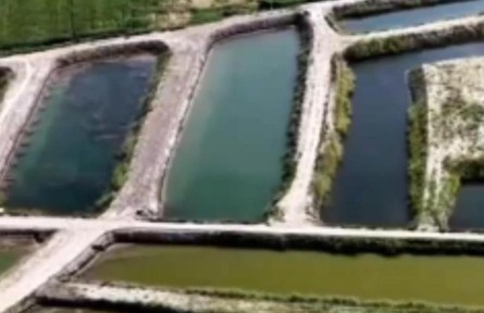 科技助力 新疆荒漠變身“西部大糧倉(cāng)”