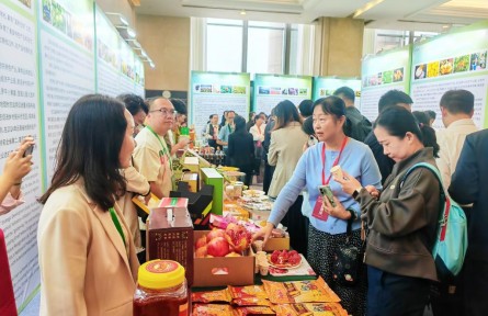 云南省地理標(biāo)志運(yùn)營(yíng)中心啟動(dòng)運(yùn)營(yíng)