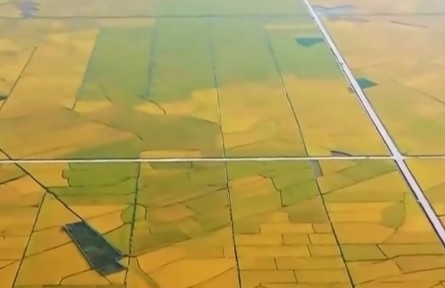 【新思想引領(lǐng)新征程·非凡“十四五”】我國糧食供給保障能力持續(xù)增強(qiáng)