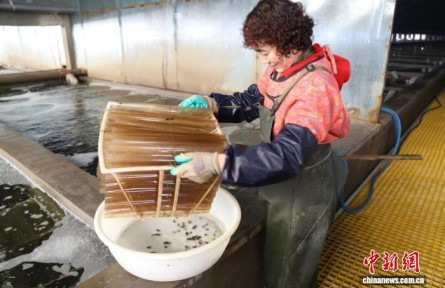 從“靠海吃?！钡健翱萍几！?山東守護(hù)“藍(lán)色糧倉”