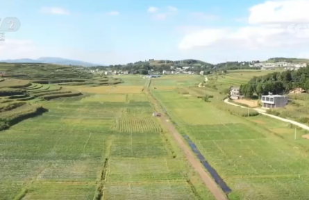 ?國慶中秋“菜籃子”供應(yīng)充足 價穩(wěn)物豐滿足節(jié)日消費(fèi)需求