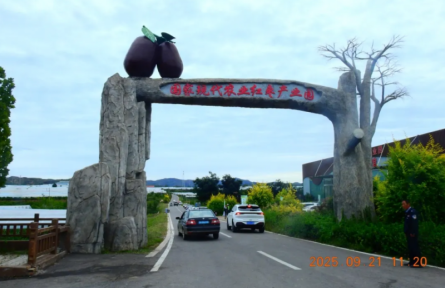 ?家鄉(xiāng)農(nóng)產(chǎn)品大學生推薦官 | 品牌手記?:太谷壺瓶棗:千年“紅釉瓶”般的鄉(xiāng)土珍果