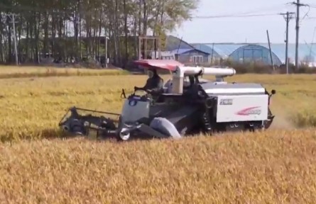 黑龍江：晝夜搶收穩(wěn)糧倉(cāng)