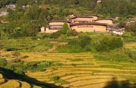 特色賞秋帶動(dòng)旅游市場(chǎng)持續(xù)火熱