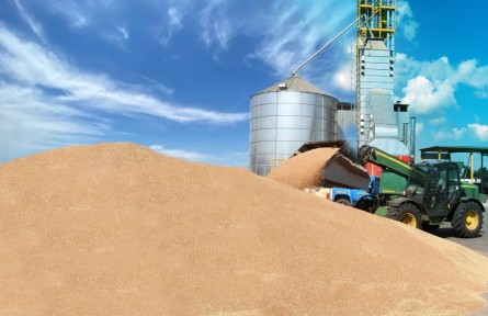 央地協(xié)作 同題共答 牢牢守住“農(nóng)民種糧賣得出”底線