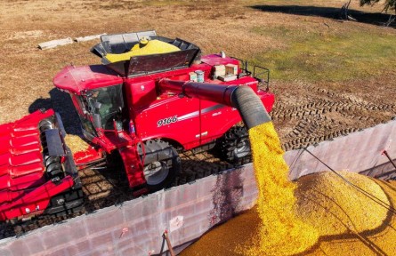 千里沃野豐收忙——內(nèi)蒙古玉米主產(chǎn)區(qū)通遼秋收見(jiàn)聞