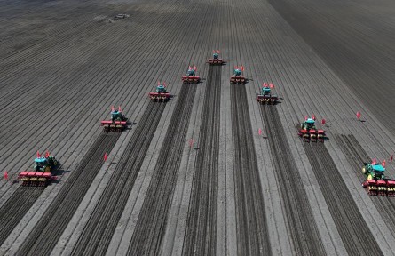 守好糧食生產(chǎn)的命根子!我國擬立法加強(qiáng)耕地保護(hù)和質(zhì)量提升