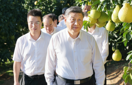 一見(jiàn)·柚子里的“三農(nóng)”情懷