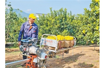 廣東梅州梅縣區(qū)南福村延伸金柚產(chǎn)業(yè)鏈，推動(dòng)農(nóng)文旅融合——柚農(nóng)從一季賣果到四季有進(jìn)項(xiàng)