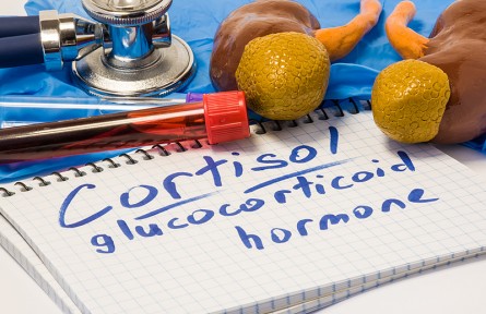 科技名詞|糖皮質(zhì)激素 glucocorticoid；glucocorticosteroid