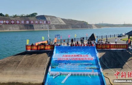 廣西大藤峽工程累計放流近2000萬尾魚苗 保護珠江流域生物多樣性