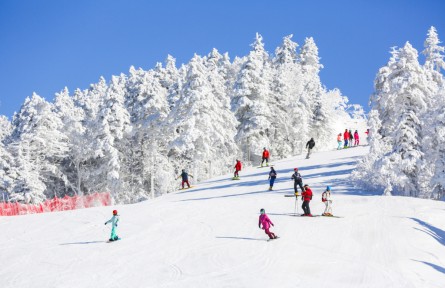 新雪季來吉林看什么？“國際大賽+全民冰雪”的雙向開嗨！