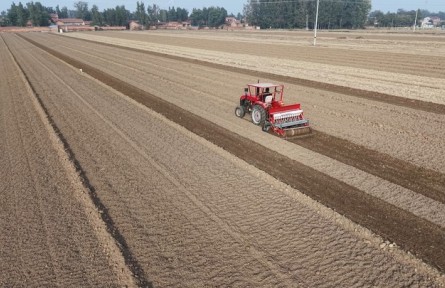 今冬不放松，來年“豐”可期——多地冬種及田間管護見聞