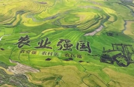 【踐行新發(fā)展理念 中國經(jīng)濟(jì)行穩(wěn)致遠(yuǎn)】鄉(xiāng)村全面振興扎實(shí)推進(jìn) 農(nóng)業(yè)農(nóng)村現(xiàn)代化邁出堅(jiān)實(shí)步伐