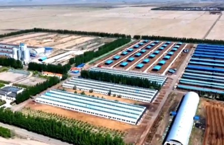 新疆加快提升農(nóng)業(yè)產(chǎn)業(yè)競(jìng)爭(zhēng)力